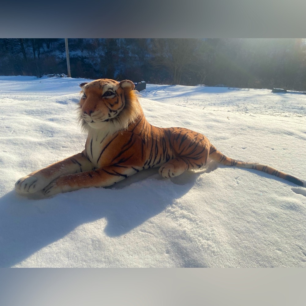 3ft Tiger Plush